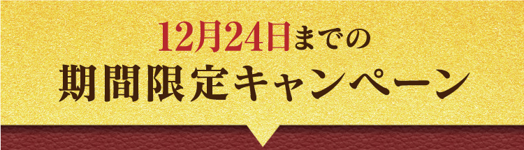 12月24日までの期間限定キャンペーン