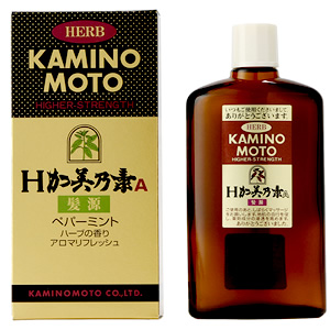 H-KAMINOMOTO A KAMIGEN